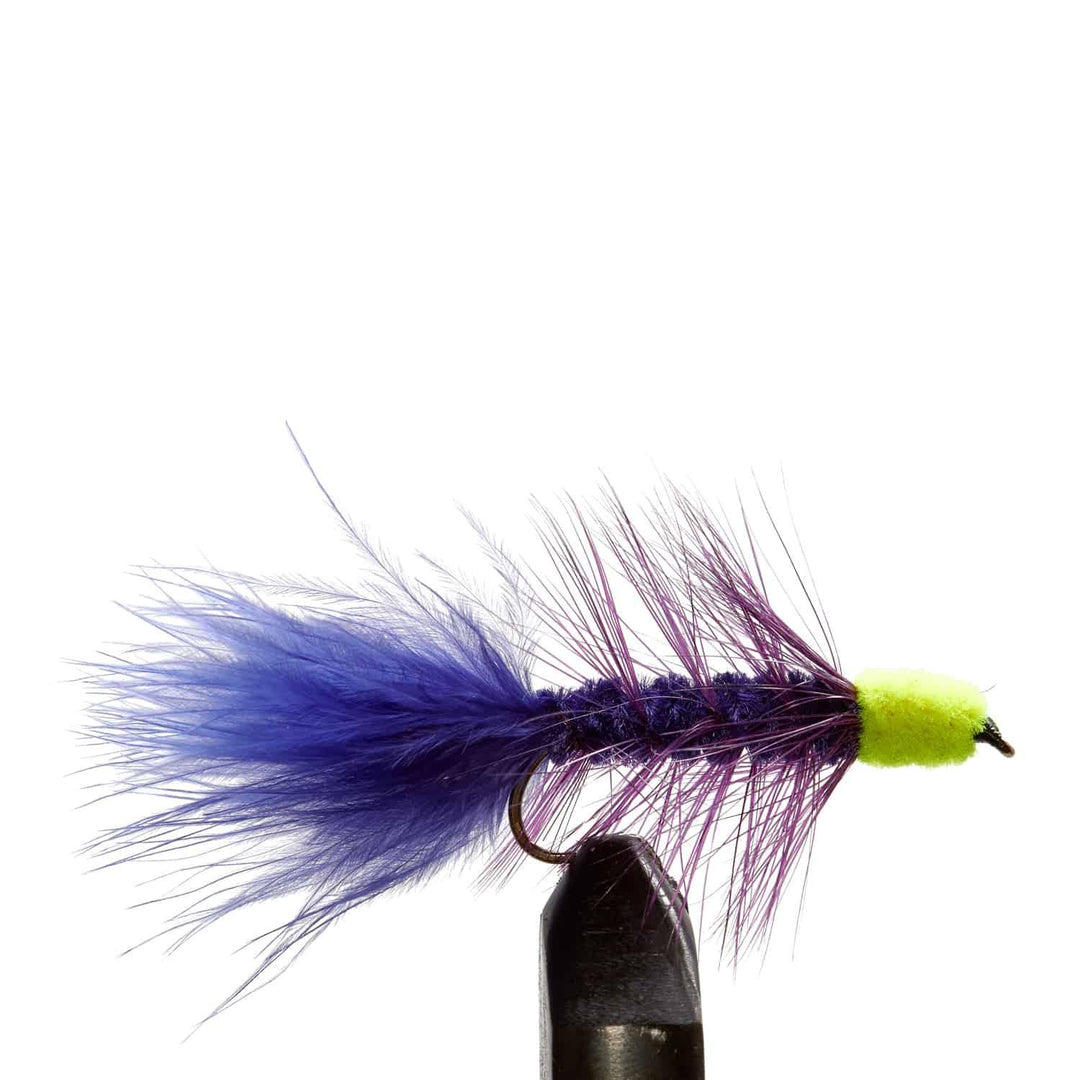 Purple Egg Sucking Leech Chartreuse Head - Flies, Leeches, Streamers | Jackson Hole Fly Company