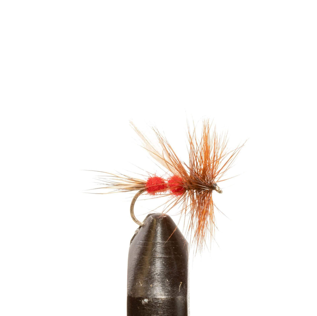 Red Ant - Dry Flies, Flies, Terrestrials | Jackson Hole Fly Company