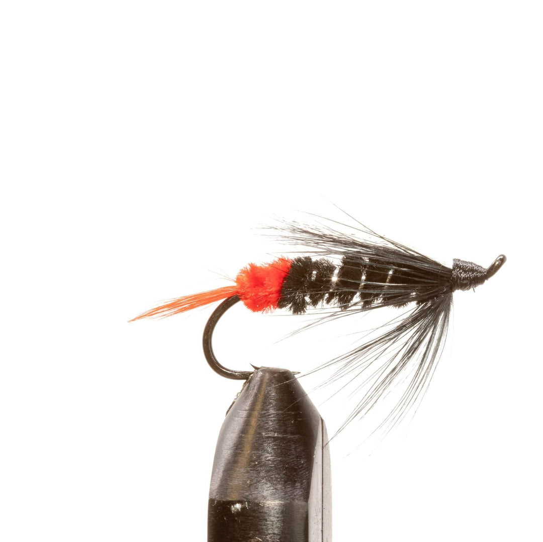 Red Butt Skunk - Flies, Intruders, Streamers | Jackson Hole Fly Company
