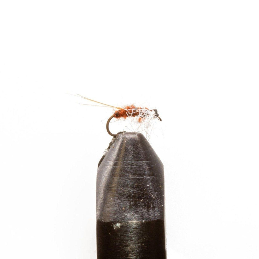 Rusty Spinner - Dry Flies, Flies | Jackson Hole Fly Company