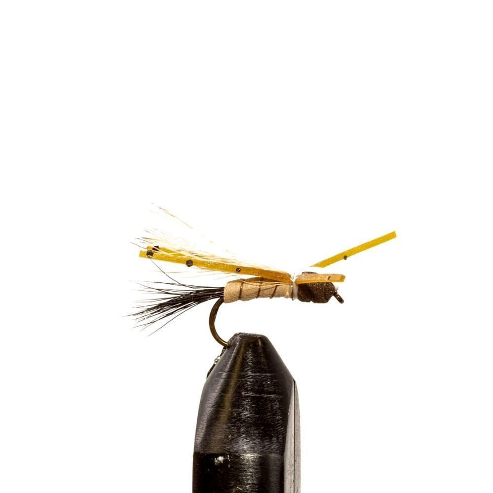 Jackson Cardinal Flies Spruce Moth Fly Dry Flies | Jackson Hole Fly Company