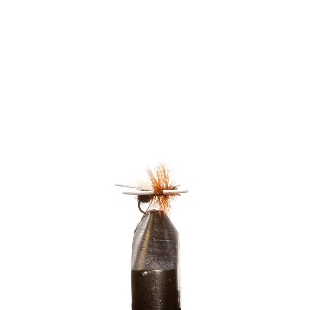 Super Ant Black - Dry Flies, Flies, Terrestrials | Jackson Hole Fly Company
