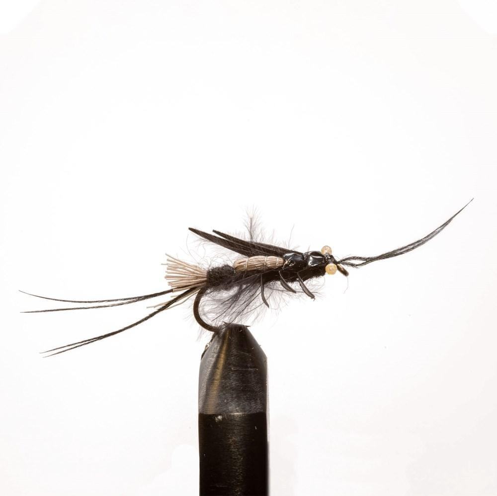 Thunderbug-Black - Dry Flies, Flies | Jackson Hole Fly Company