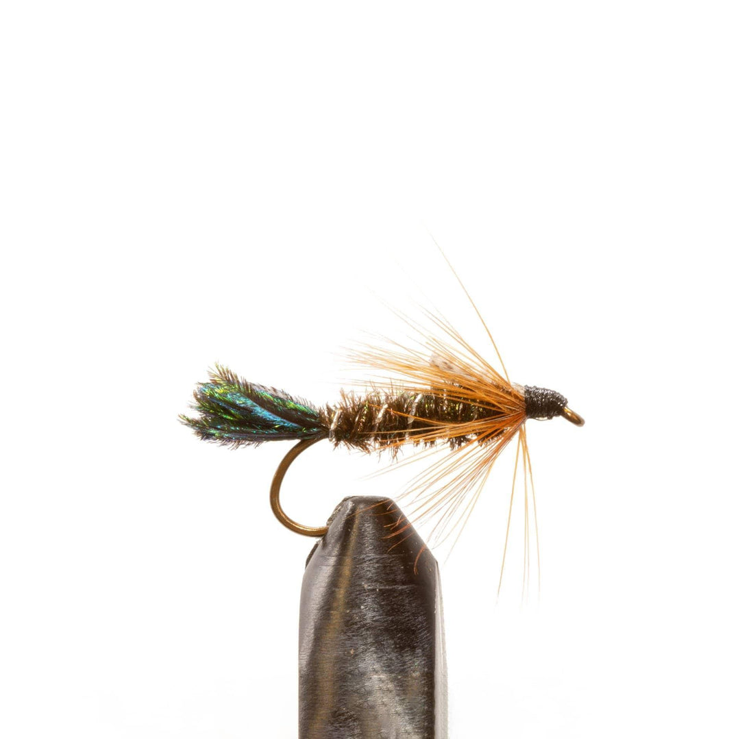 Zug Bug - Flies, Nymphs | Jackson Hole Fly Company