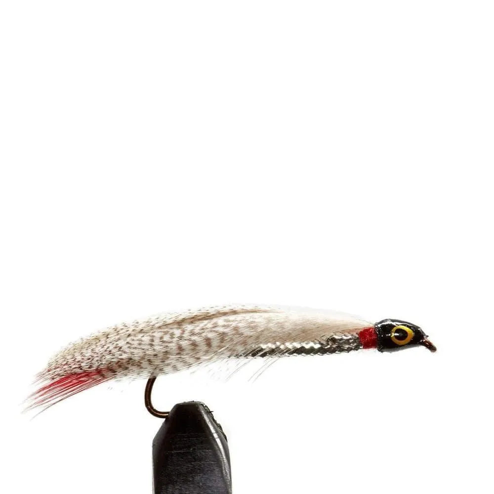 Joe's Smelt - 6