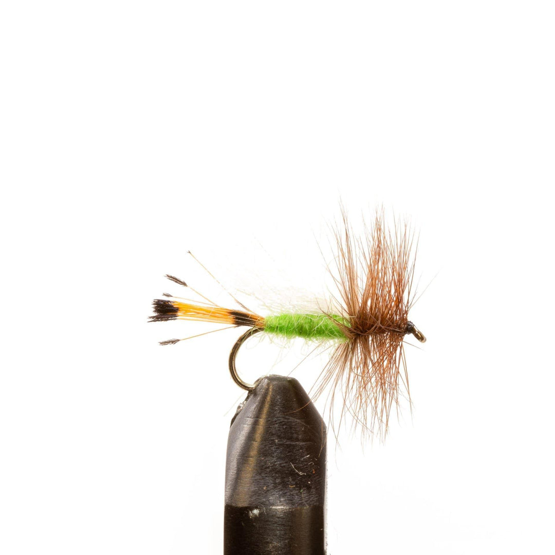 Lime Trude - Dry Flies, Flies | Jackson Hole Fly Company