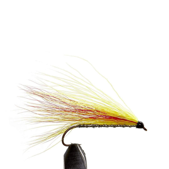 Mickey Finn - Atlantic Salmon, Flies, Salt Water | Jackson Hole Fly Company