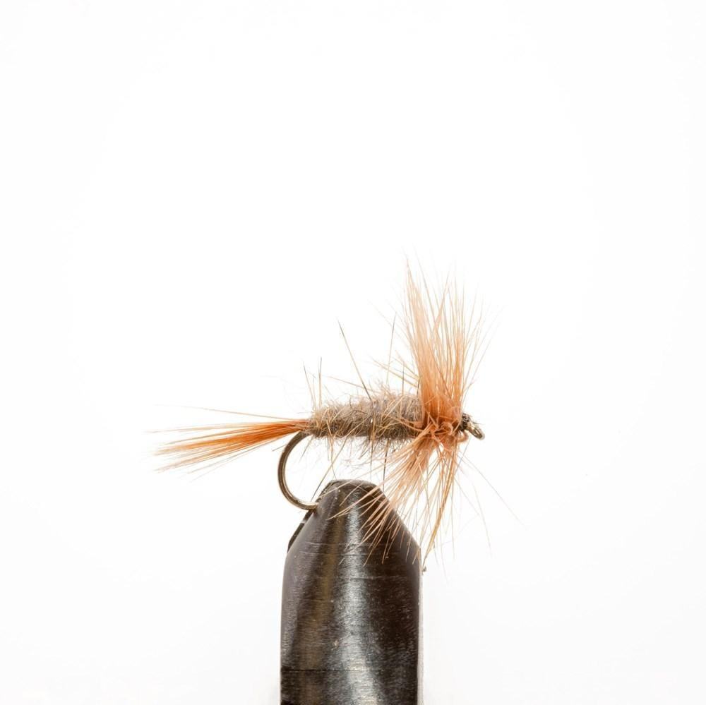 Muskrat Dry - Dry Flies, Flies | Jackson Hole Fly Company