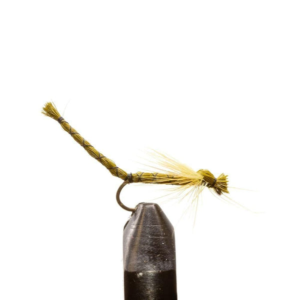 Olive Damsel Parachute - 12