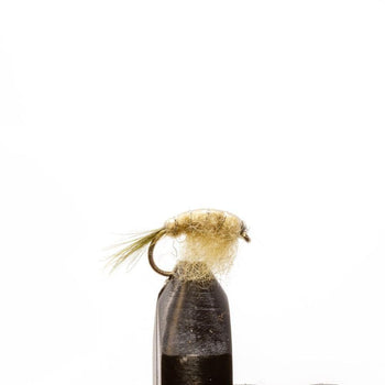 Olive Scud pattern for weed beds and shoals | Jackson Hole Fly Company