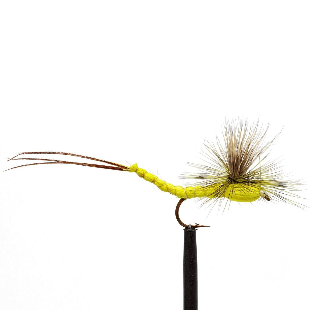 Para Hex Yellow - Dry Flies, Flies | Jackson Hole Fly Company