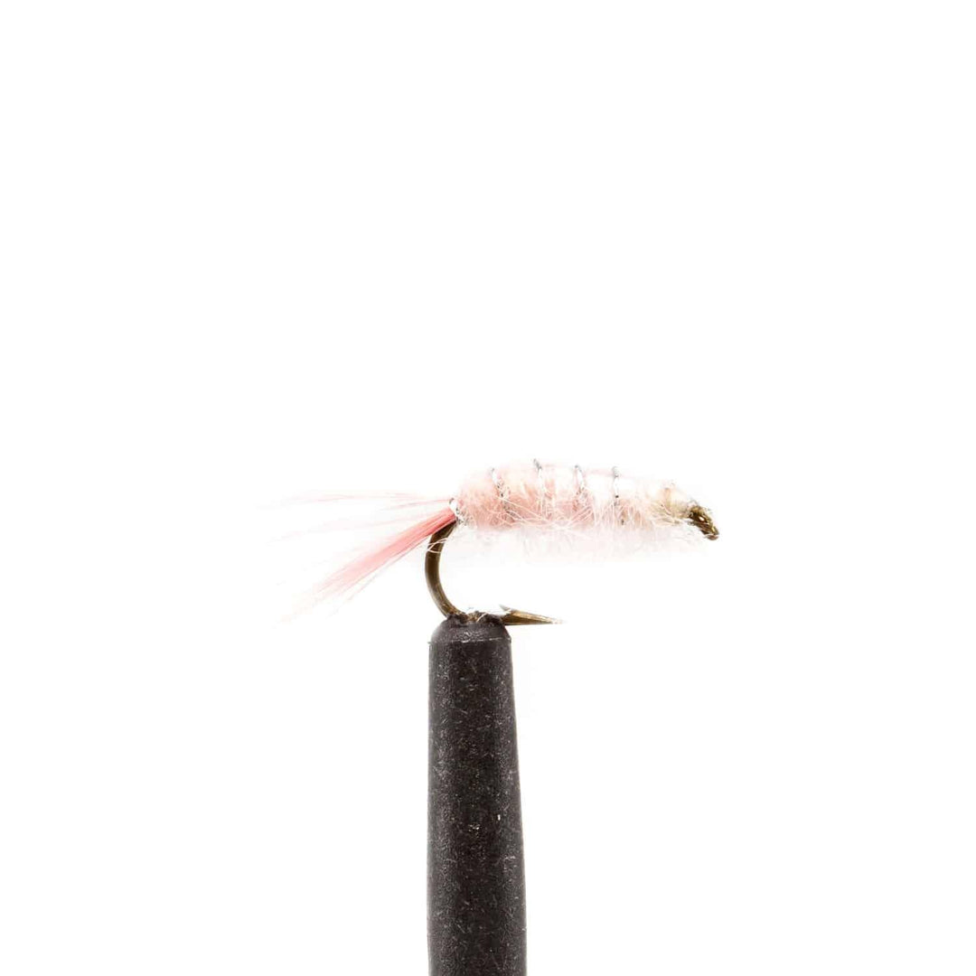 Pink Shrimp - Flies, Nymphs | Jackson Hole Fly Company