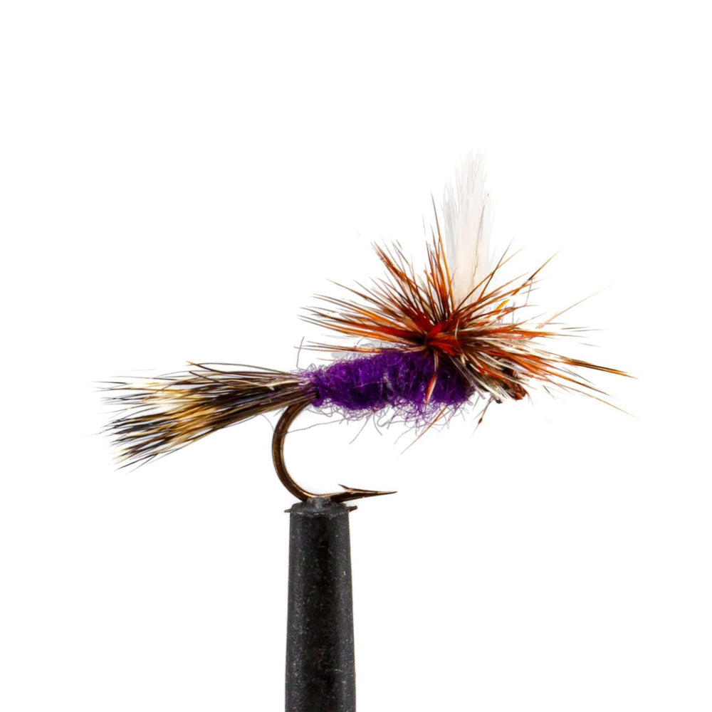 Purple Haze - Dry Flies, essentials, Flies | Jackson Hole Fly Company