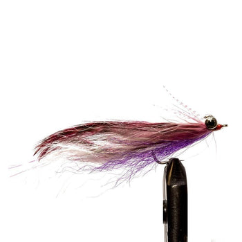 DNA Clouser Minnows