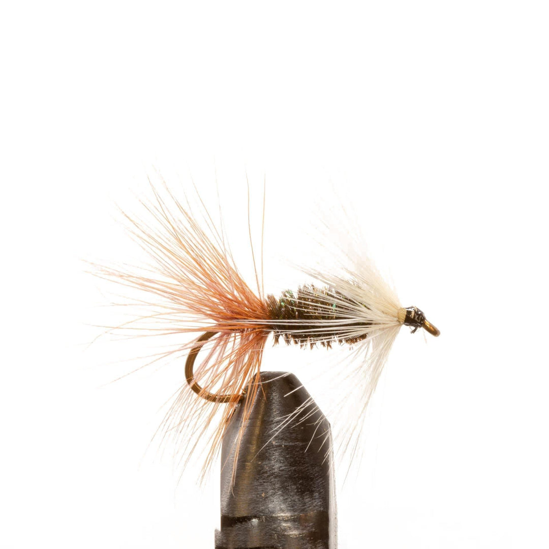 1/2 Dozen Renegade Dry Flies – Mezza Dozzina Di Mosche Secche Per La Pesca A Mosca (Unbranded)