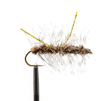 Rootbeer Yuk Bug Conehead