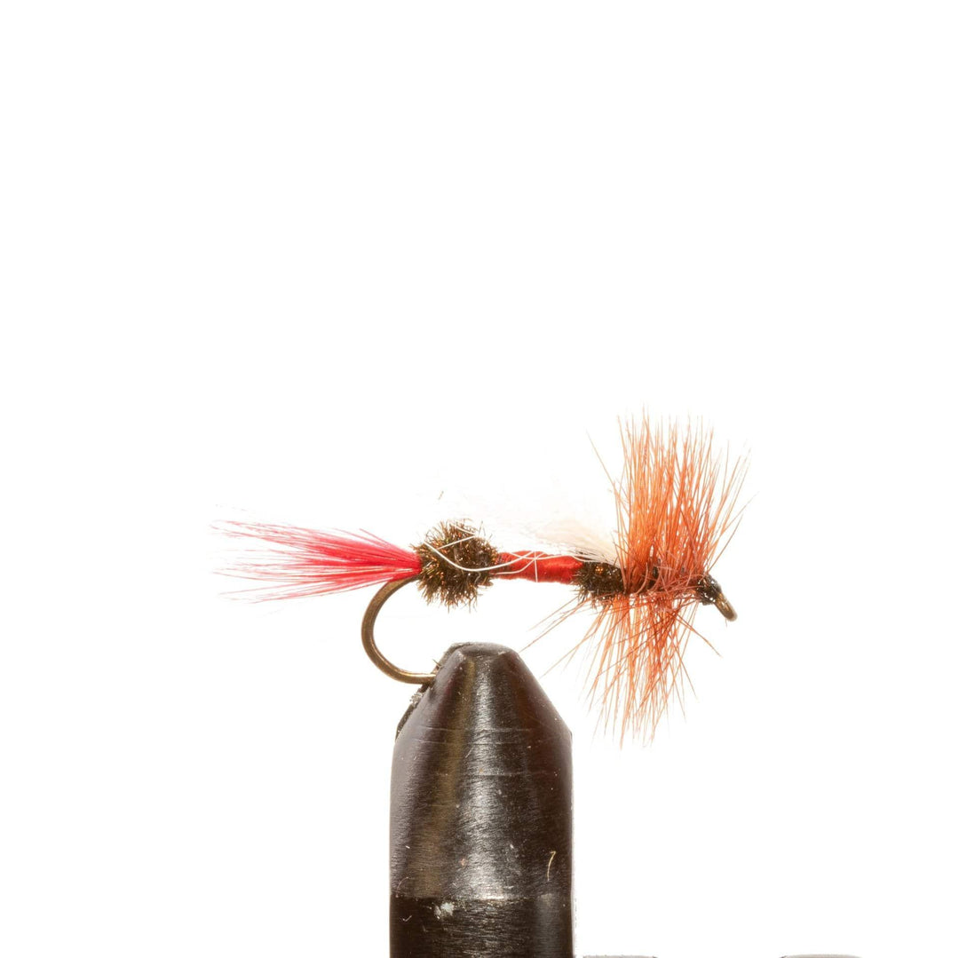 Royal Coachman Trude - Dry Flies, Flies | Jackson Hole Fly Company