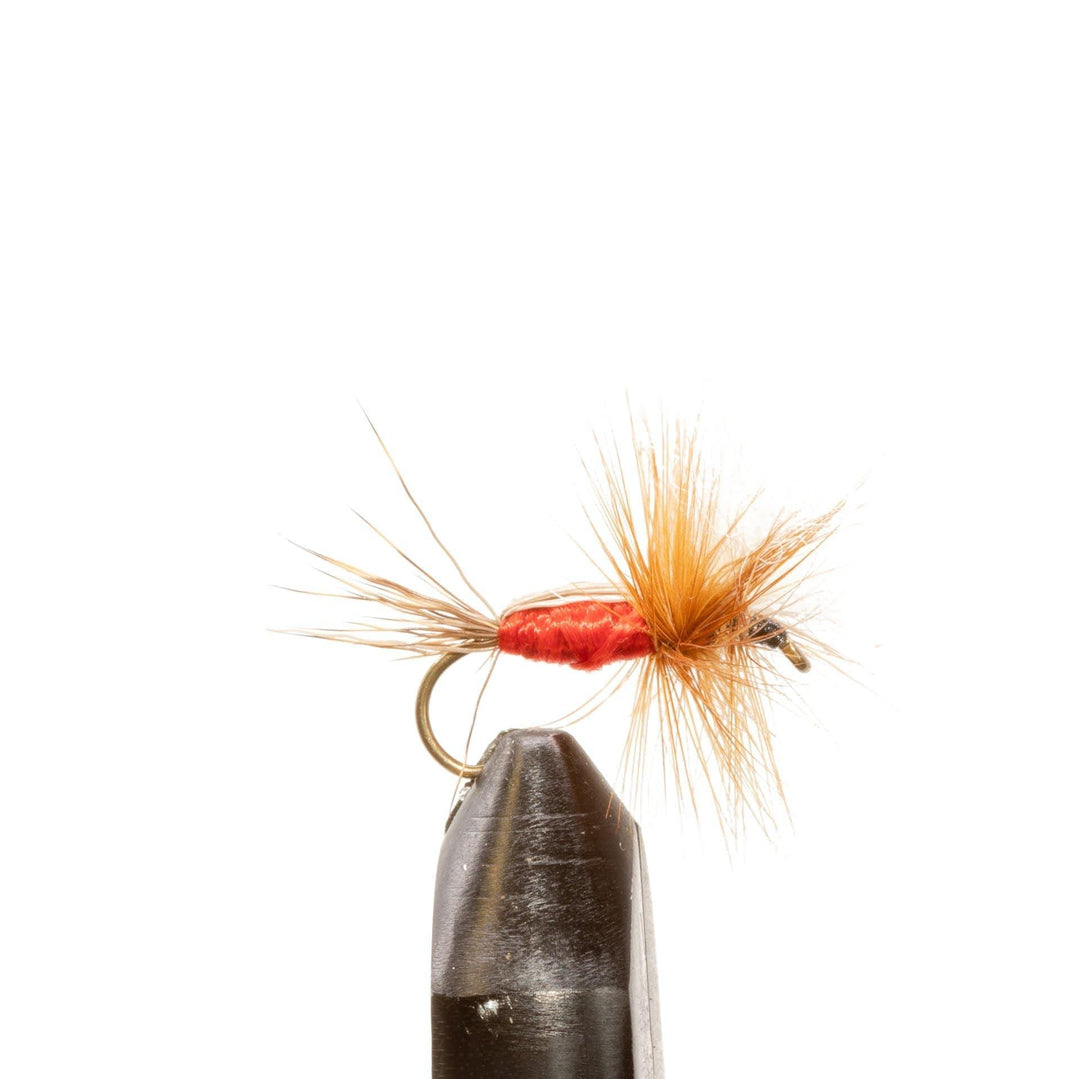 Royal Humpy - Dry Flies, Flies | Jackson Hole Fly Company