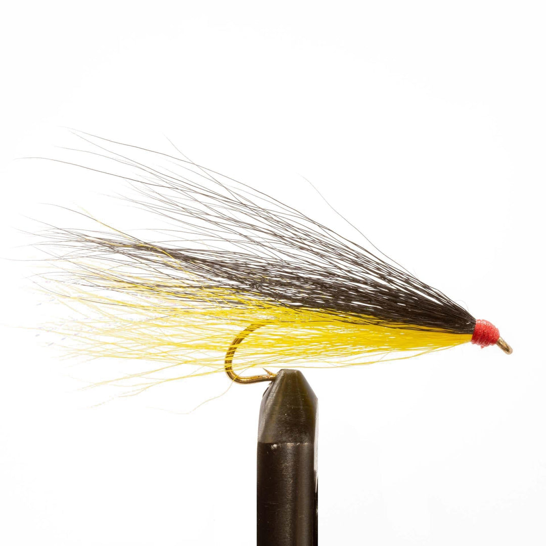 best fly lure for salmon fishing alaska Mary Ann - 4 Permit are hard to catch on a fly King Salmon Flies - Flies