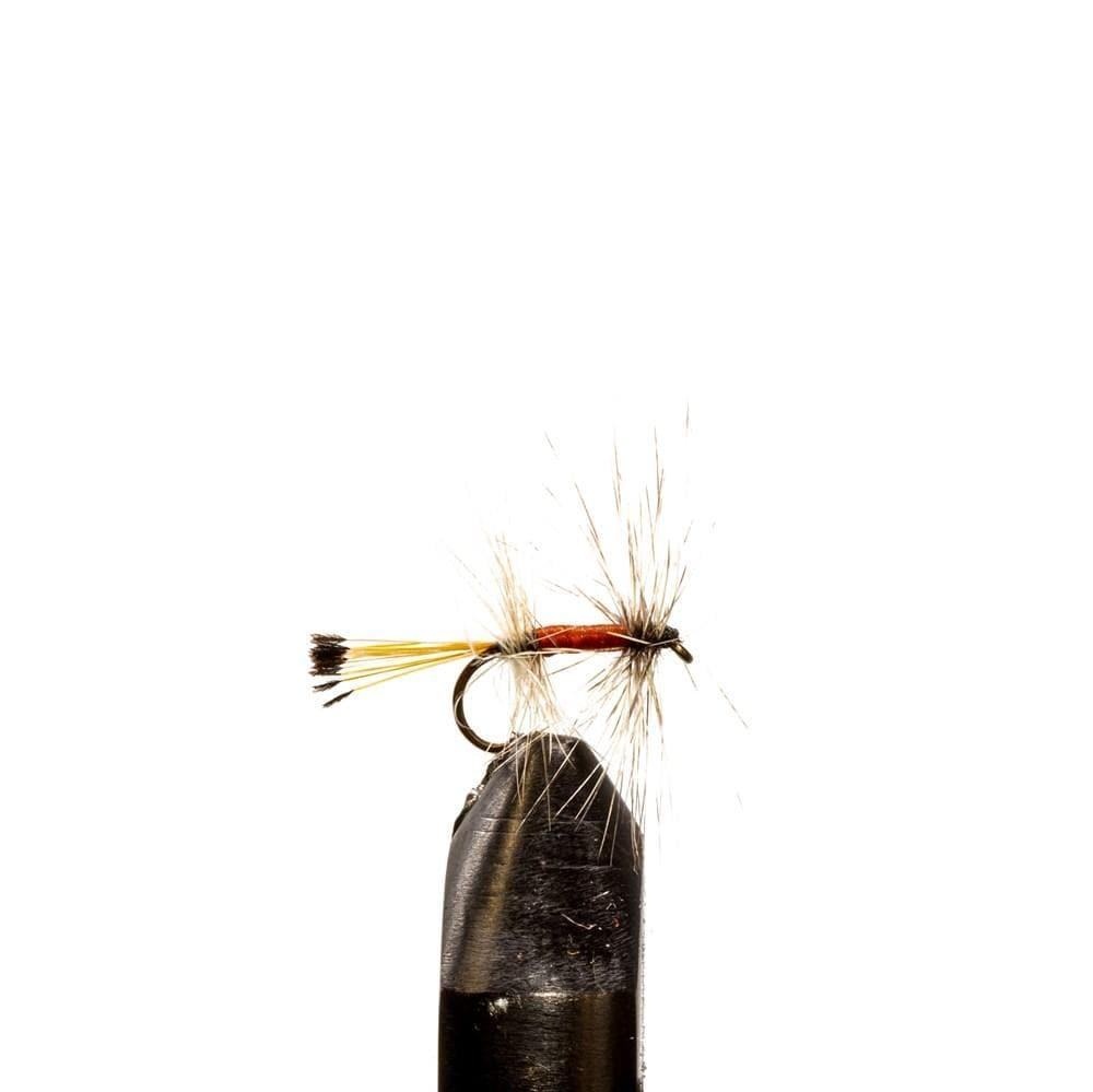 Sierra Bright Dot - Dry Flies, Flies | Jackson Hole Fly Company