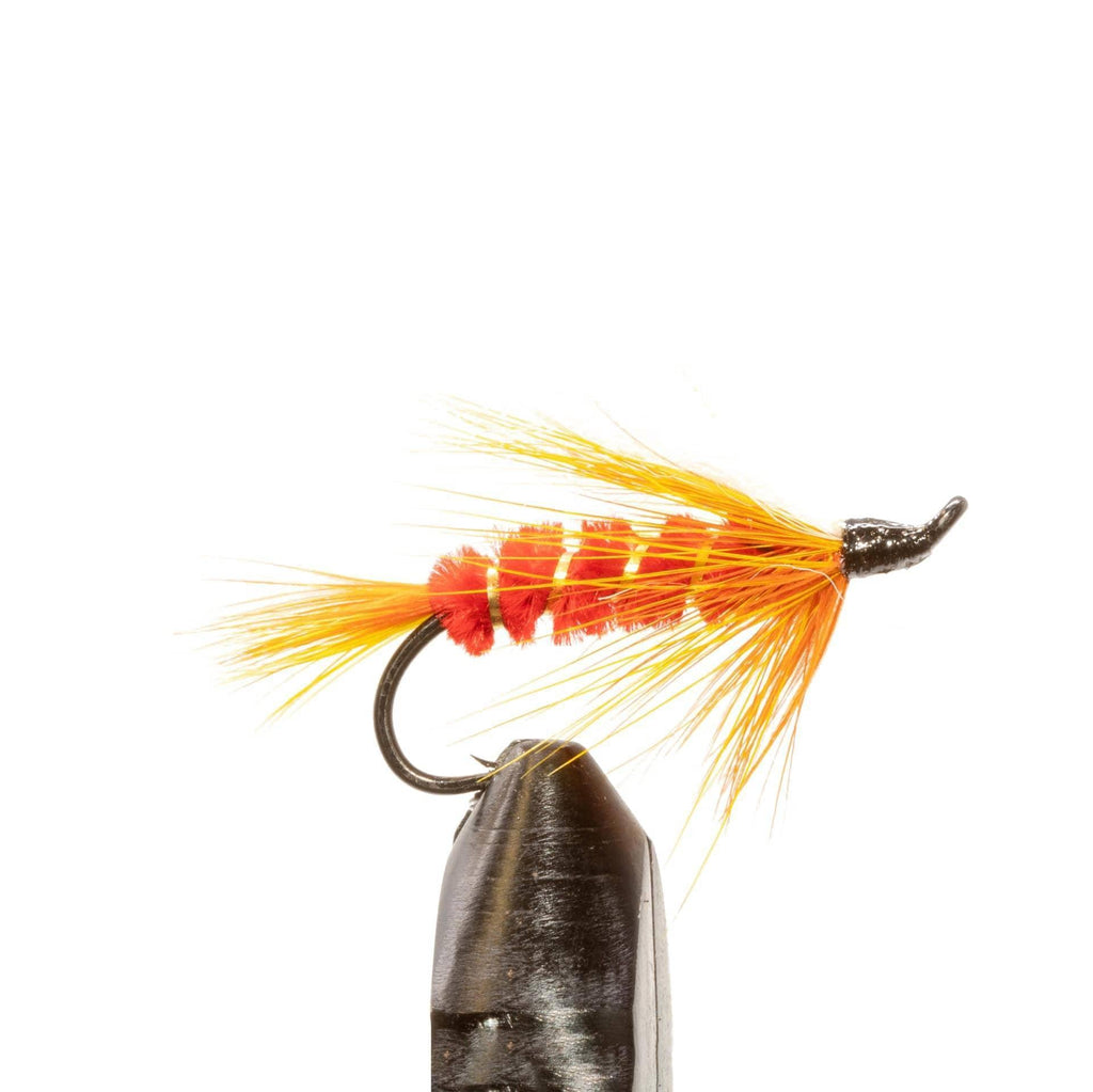 Skykomish Sunrise – Classic Steelhead Fly | JHFLYCO – Jackson Hole