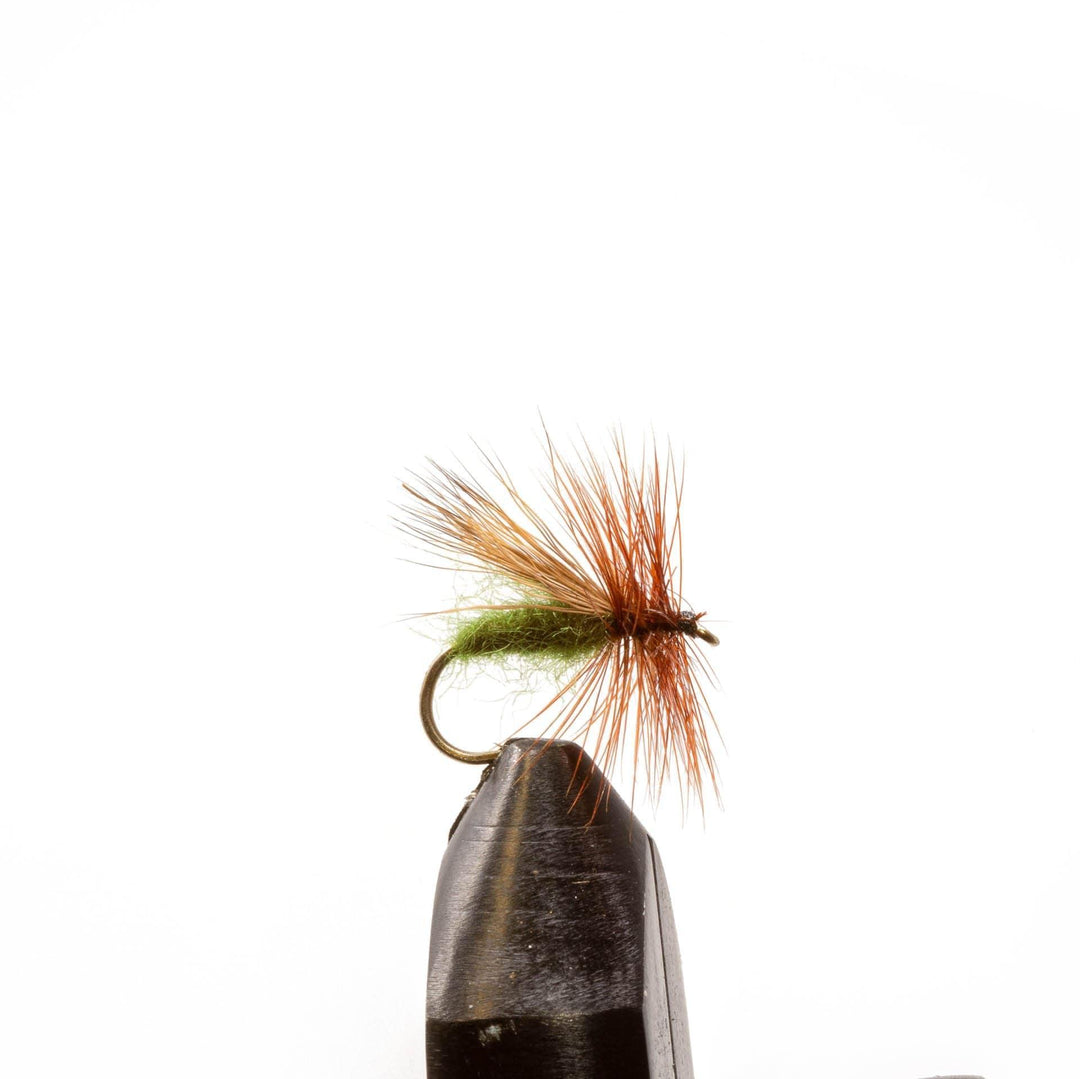 Solomon Caddis - Dry Flies, Flies | Jackson Hole Fly Company