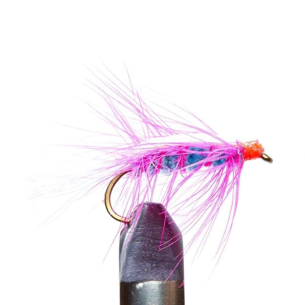 Spring Wiggler Blue/ Pink - Flies, Nymphs | Jackson Hole Fly Company