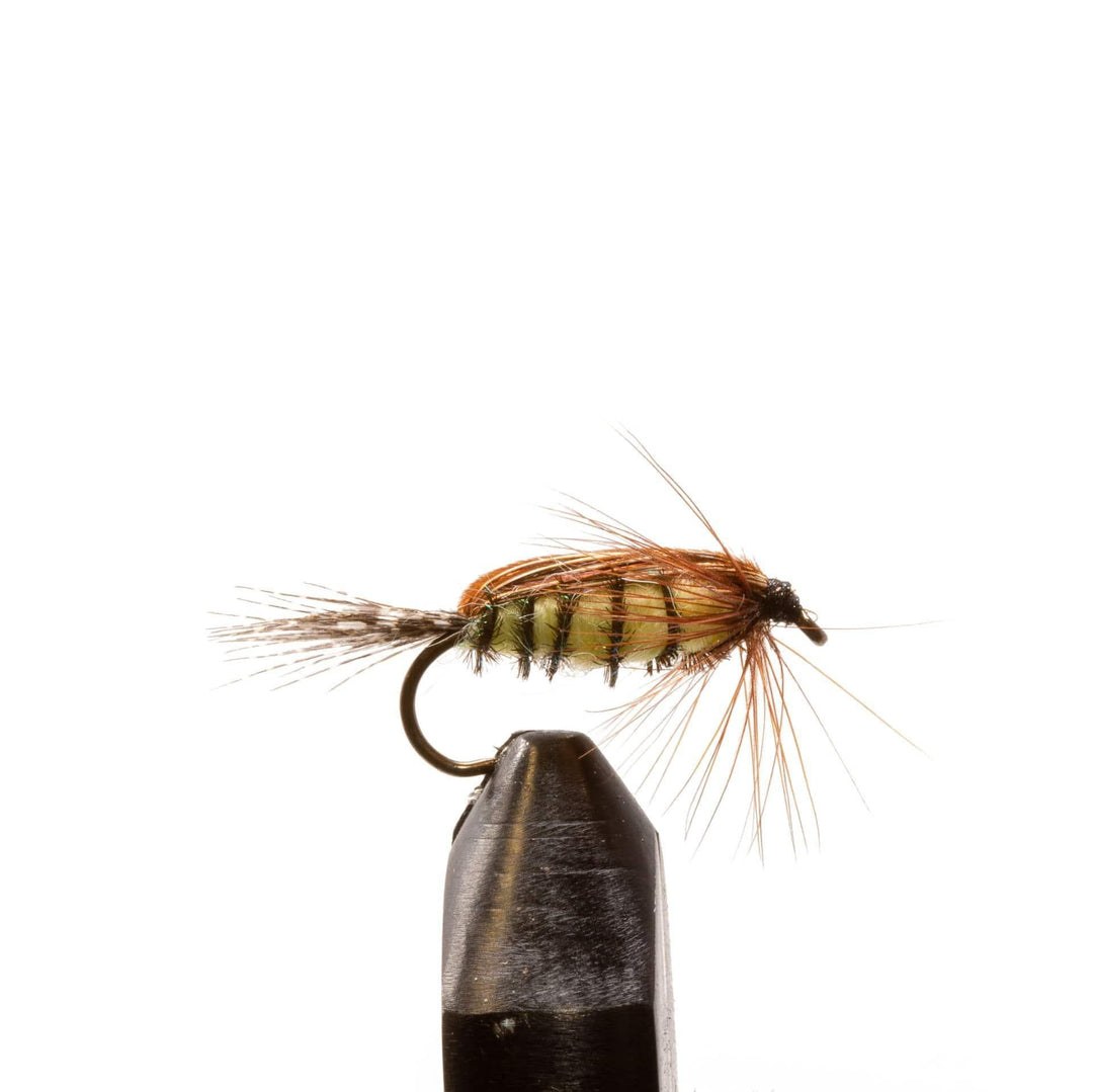 Tellico - Flies, nymphs | Jackson Hole Fly Company