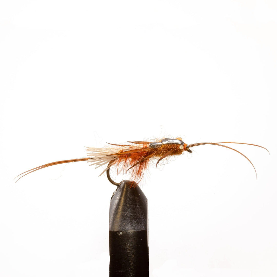 Thunderbug-Brown - Dry Flies, Flies | Jackson Hole Fly Company