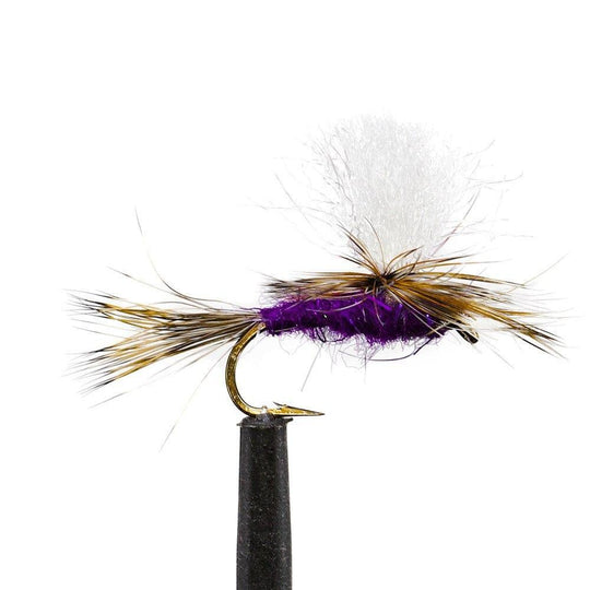 UV Para Purple Haze - Dry Flies, Flies | Jackson Hole Fly Company