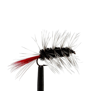 Black Woolly Worm searching pattern for lakes | Jackson Hole Fly Company